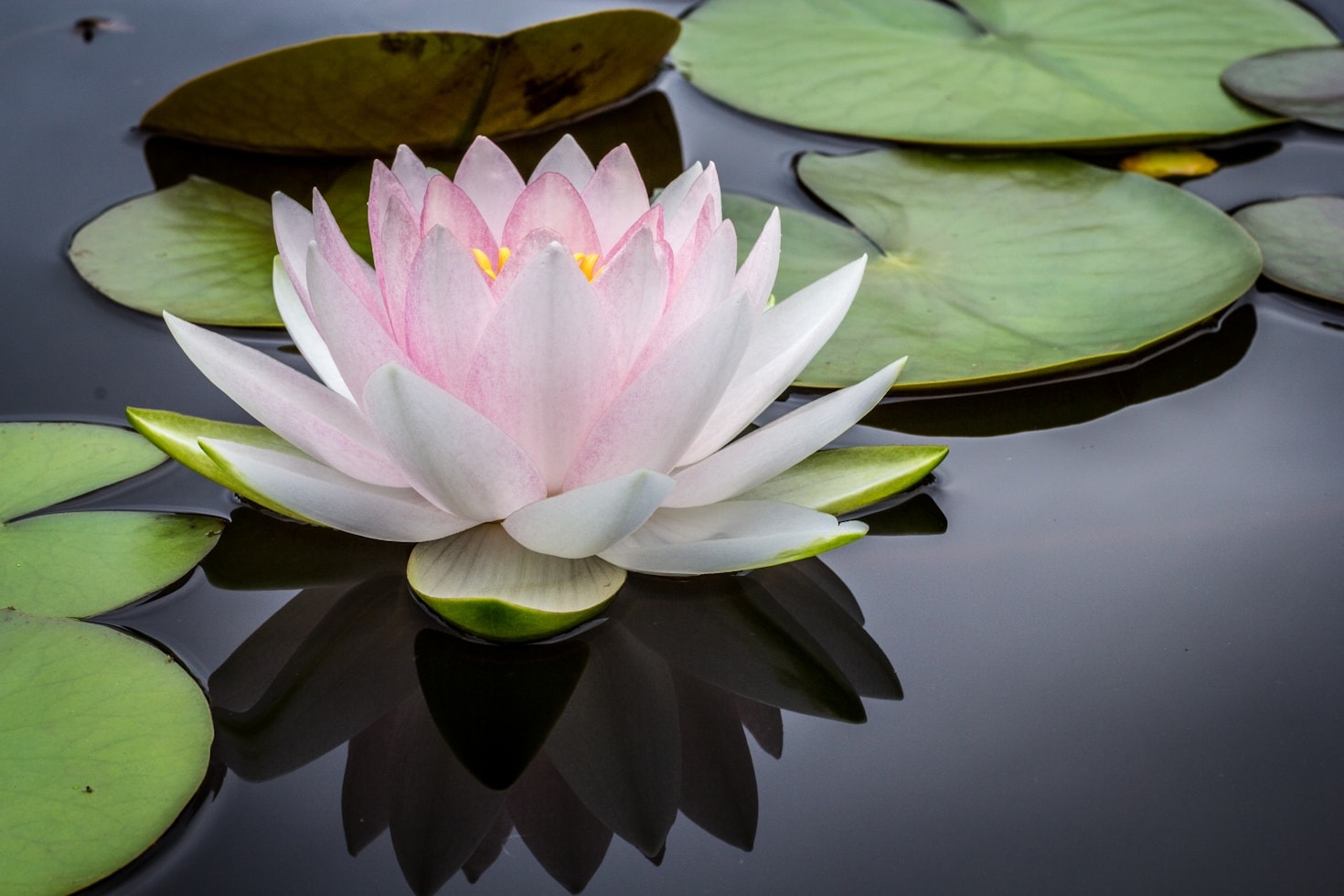 Understanding How Meditation Enhances Focus and Creativity